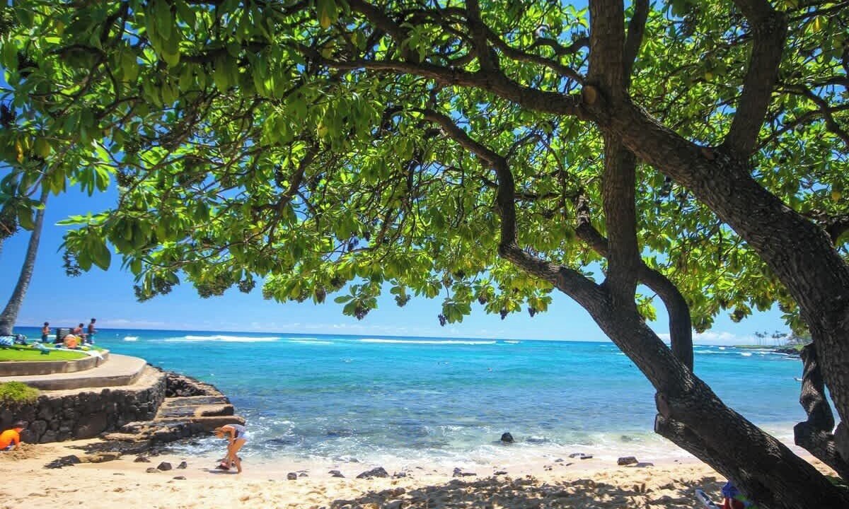 Photo of Others in Poipu