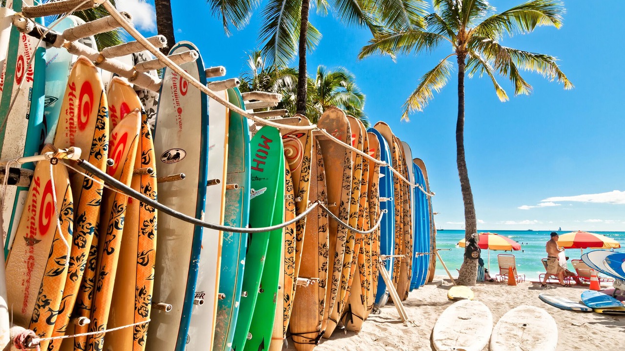 Photo of Others in Waikiki