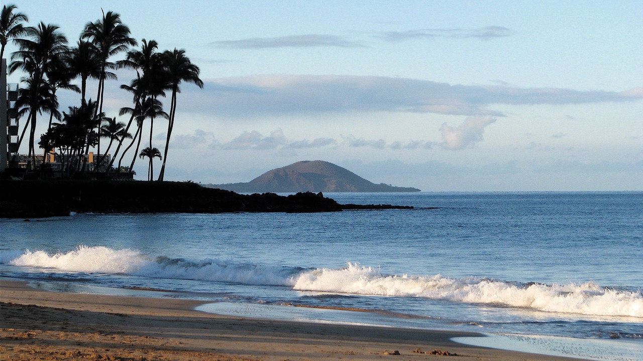 Photo of Others in Kihei