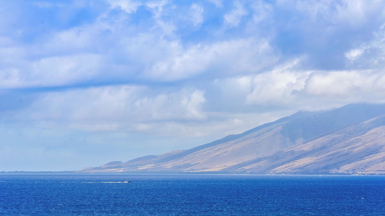 Photo of Others in Wailea