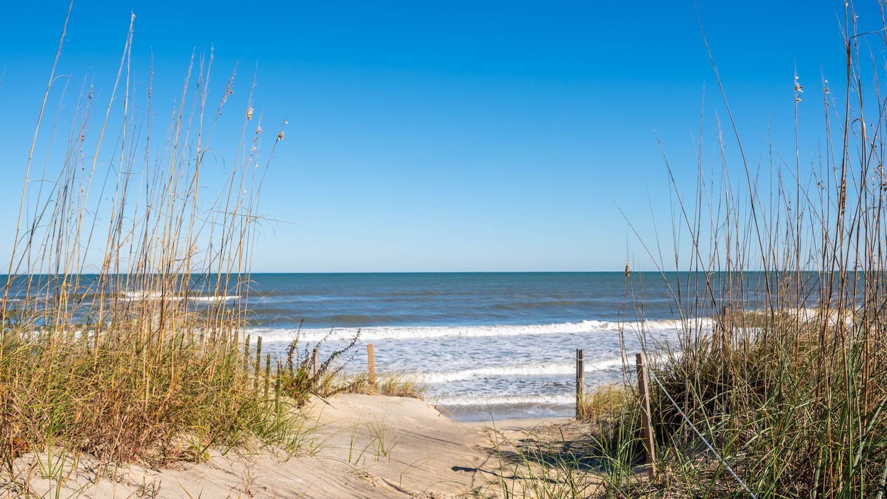 Photo of Others in Carolina Dunes