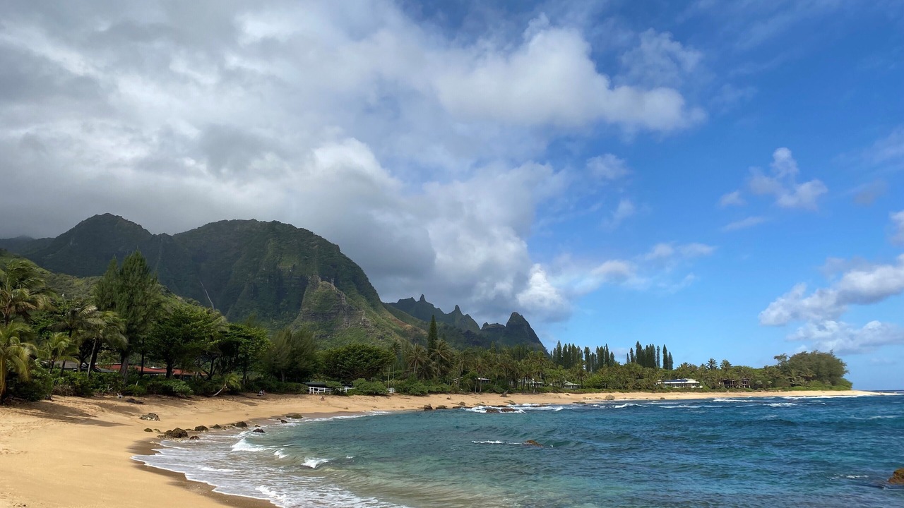 Photo of Others in Wainiha