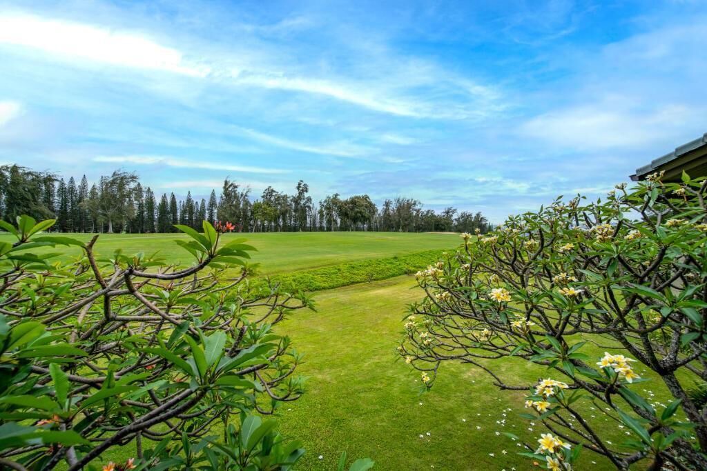Photo of Others in Kapalua