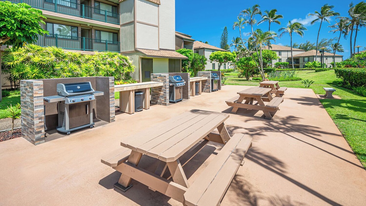 Photo of Others in Kapaa