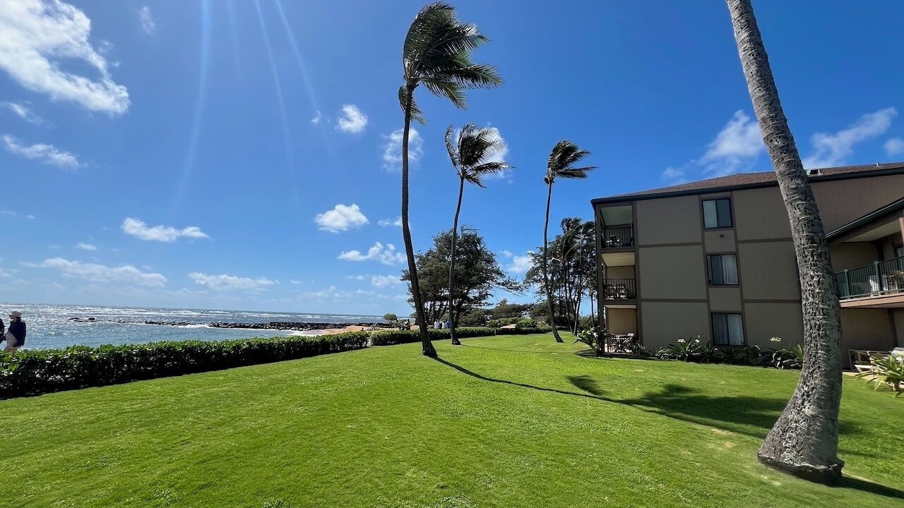 Photo of Others in Kapaa