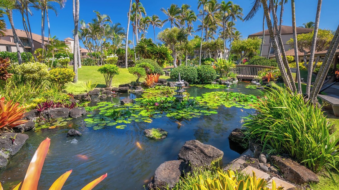 Photo of Others in Kapaa