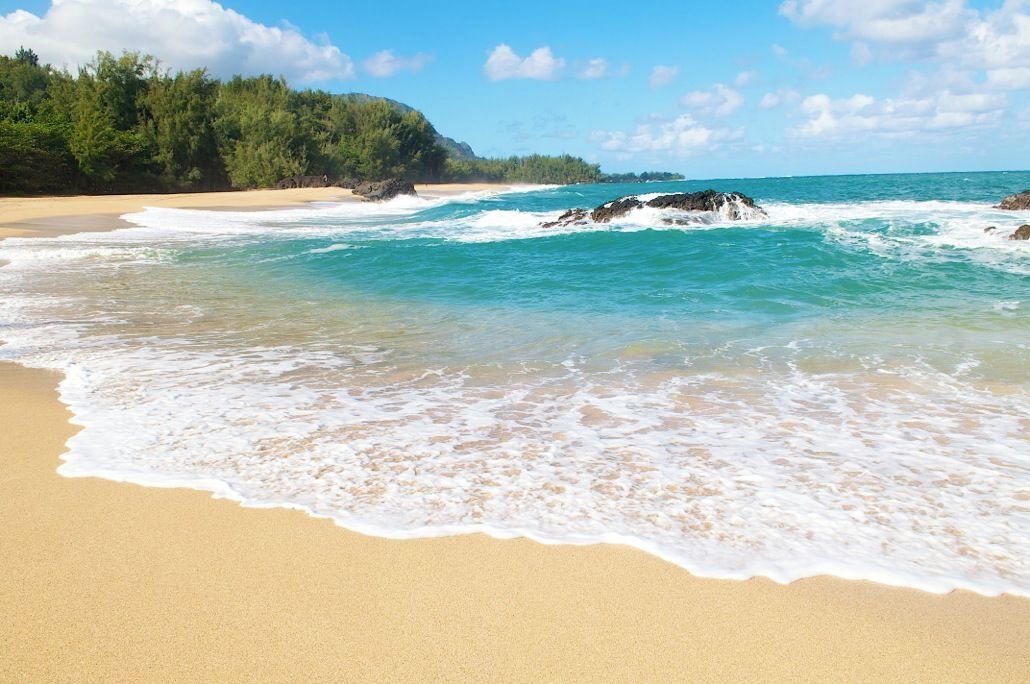 Photo of Others in Kapaa