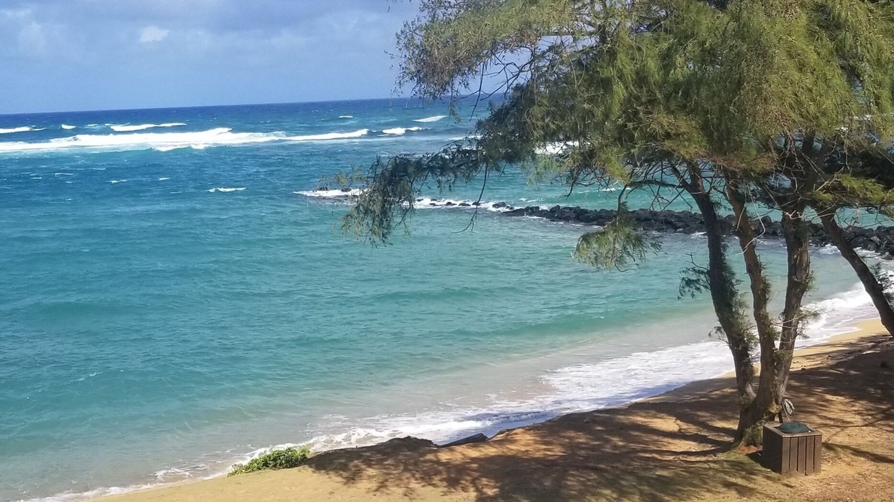 Photo of Others in Kapaa