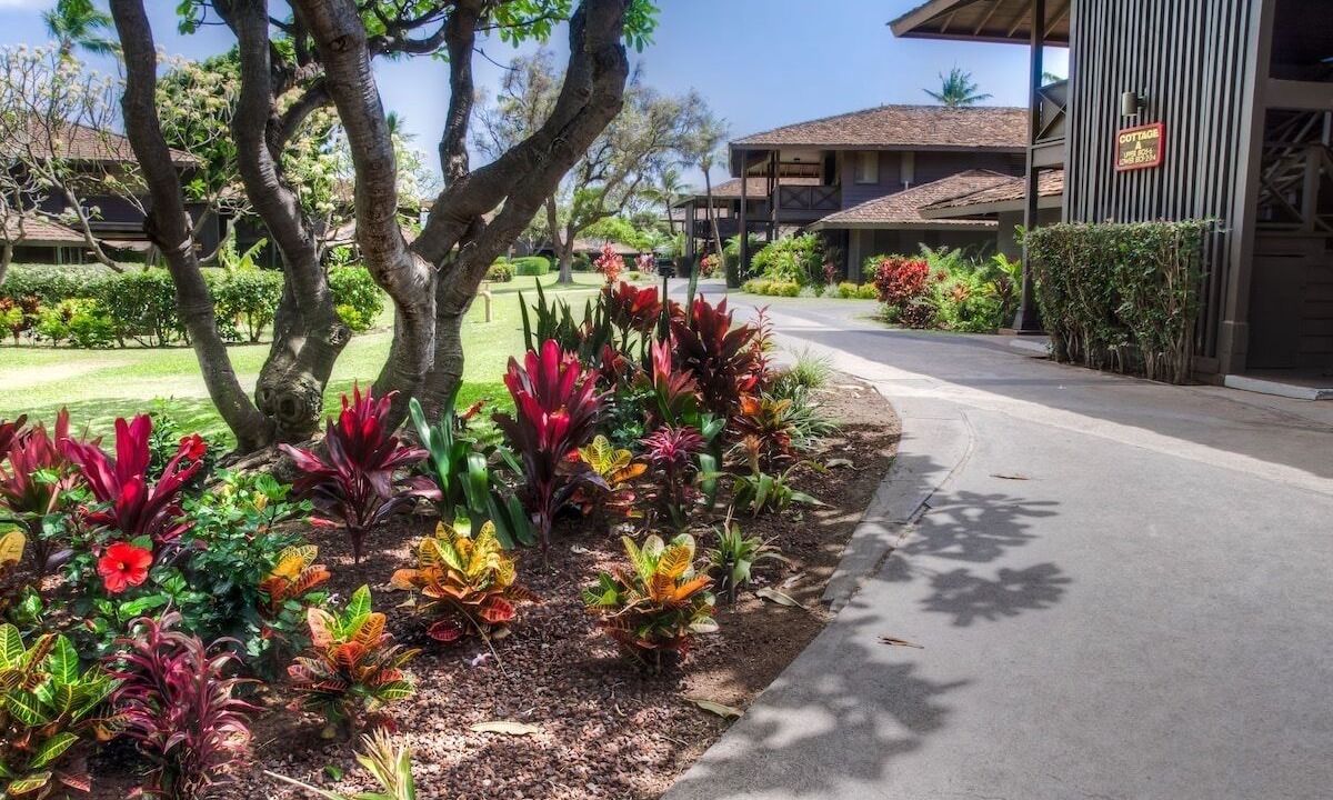 Photo of Outdoor in Kaanapali