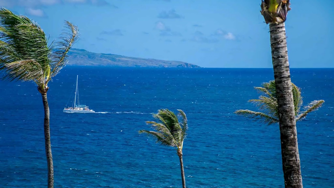 Photo of Others in Kapalua