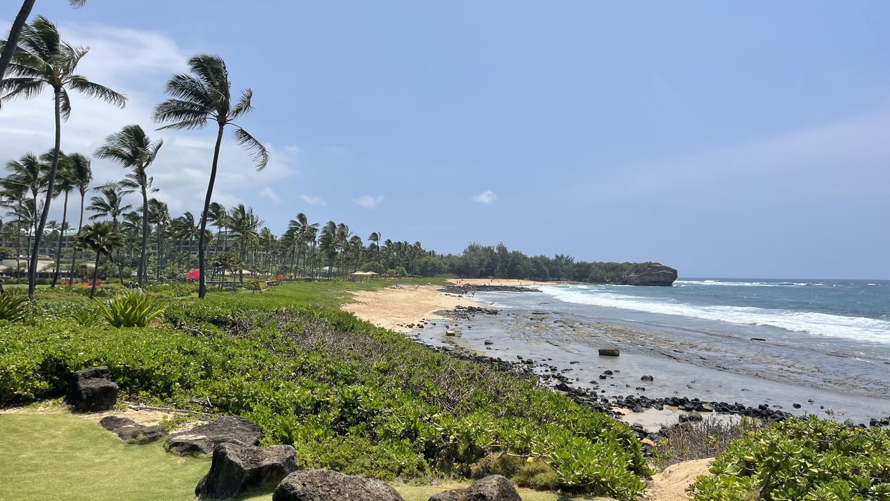 Photo of Others in Poipu