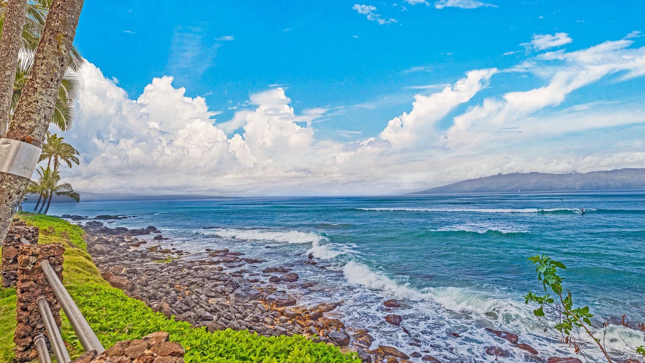 Photo of Others in Kahana