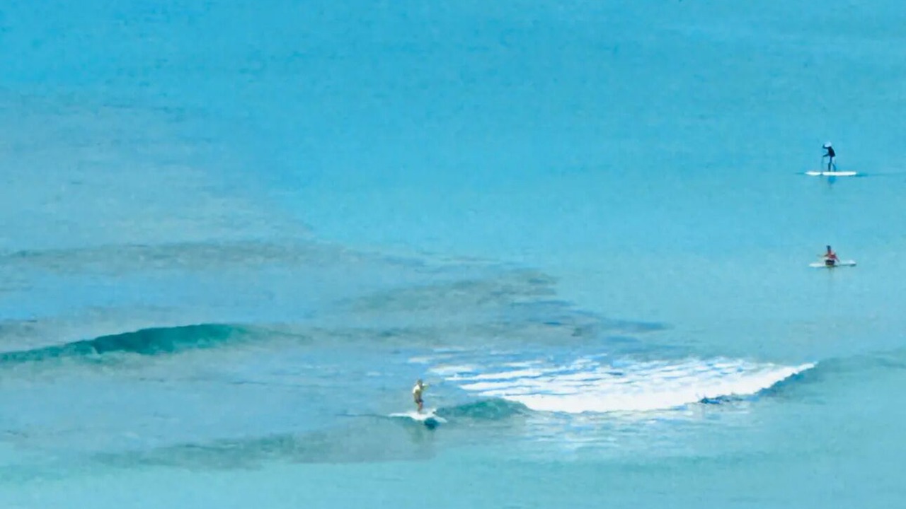 Photo of Others in Waikiki