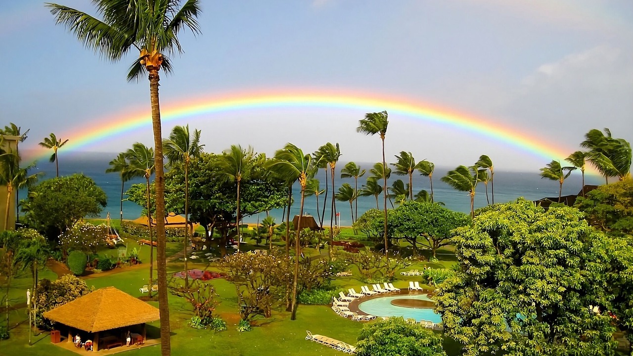 Photo of Outdoor in Kaanapali