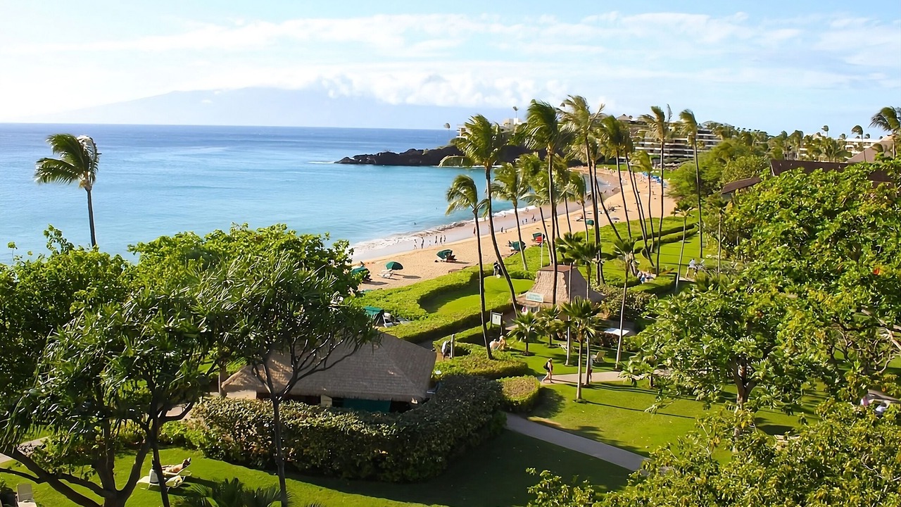 Photo of Others in Kaanapali