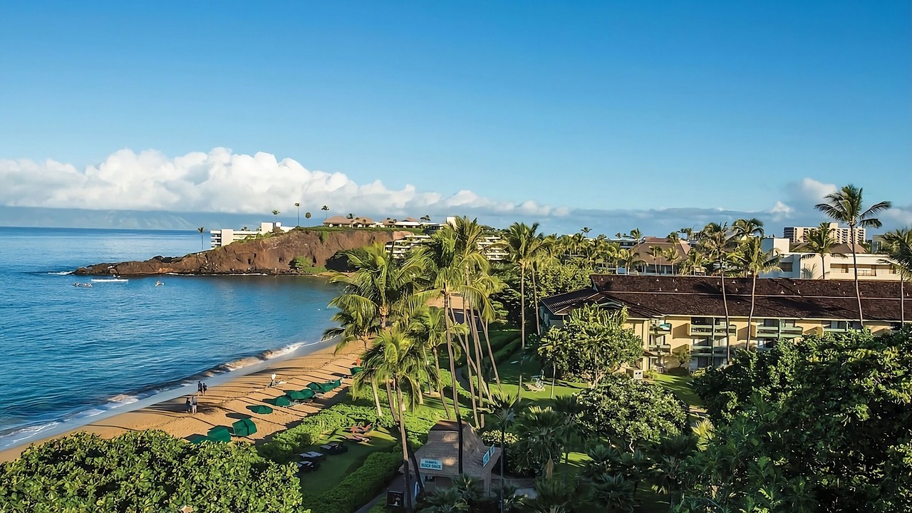 Photo of Others in Kaanapali