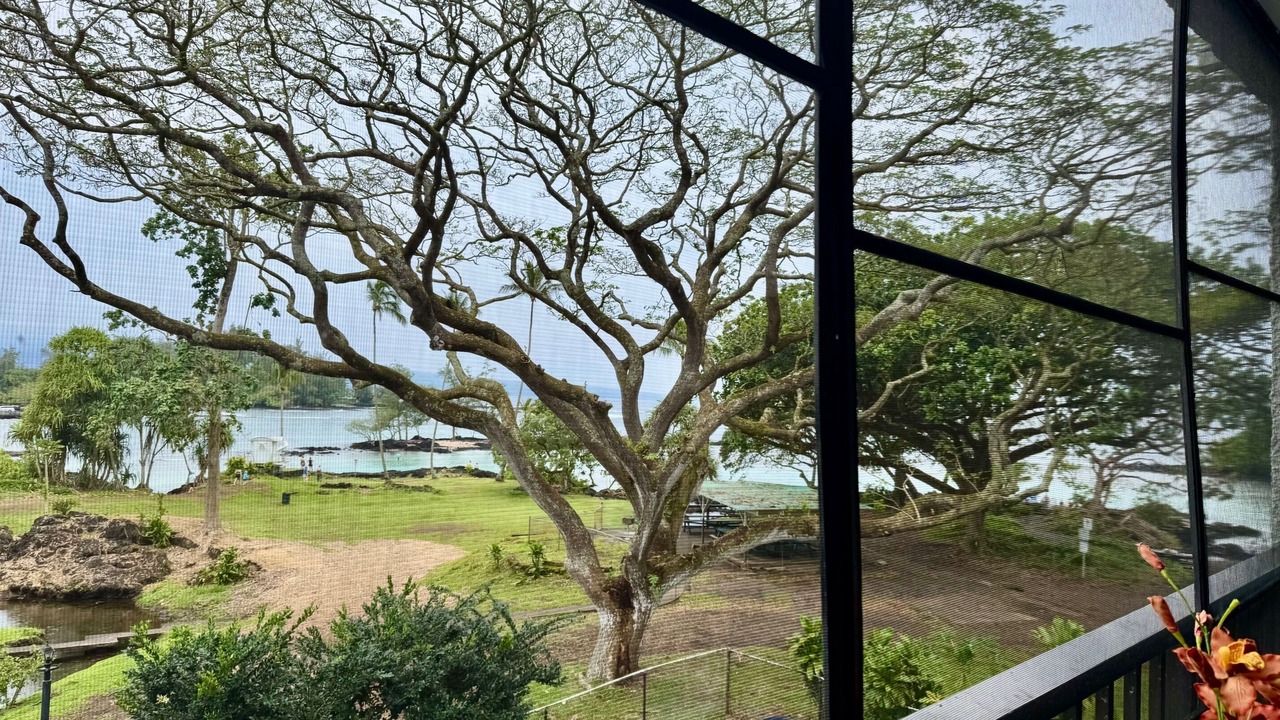 Photo of Others in Hilo