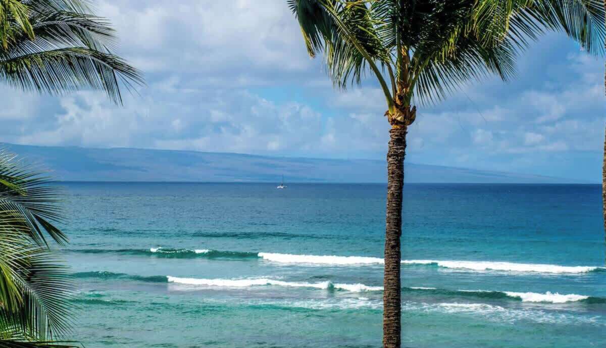 Photo of Others in Honokowai