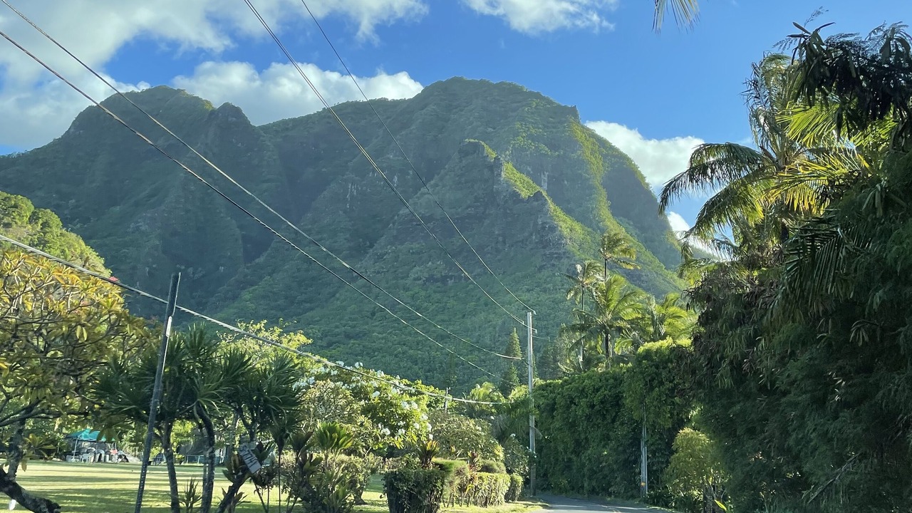 Photo of Others in Poipu