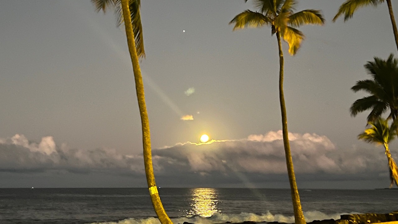 Photo of Others in Historic Kailua Village