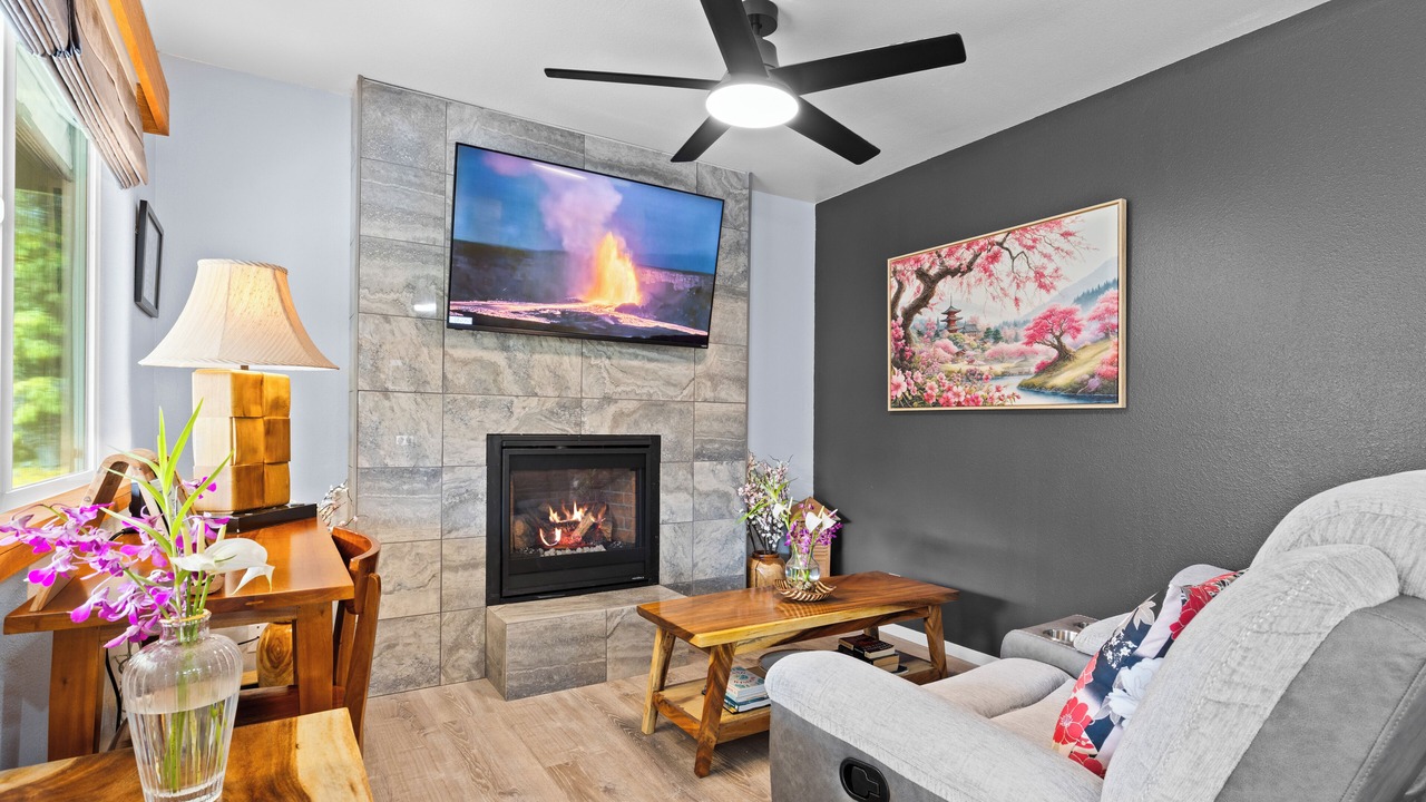 Photo of Livingroom in Volcano