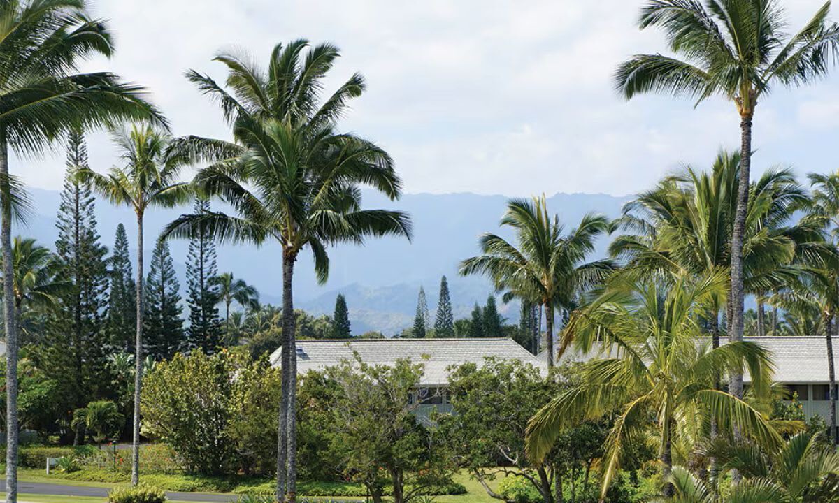 Photo of Outdoor in Princeville