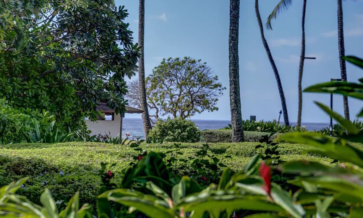 Photo of Others in Poipu