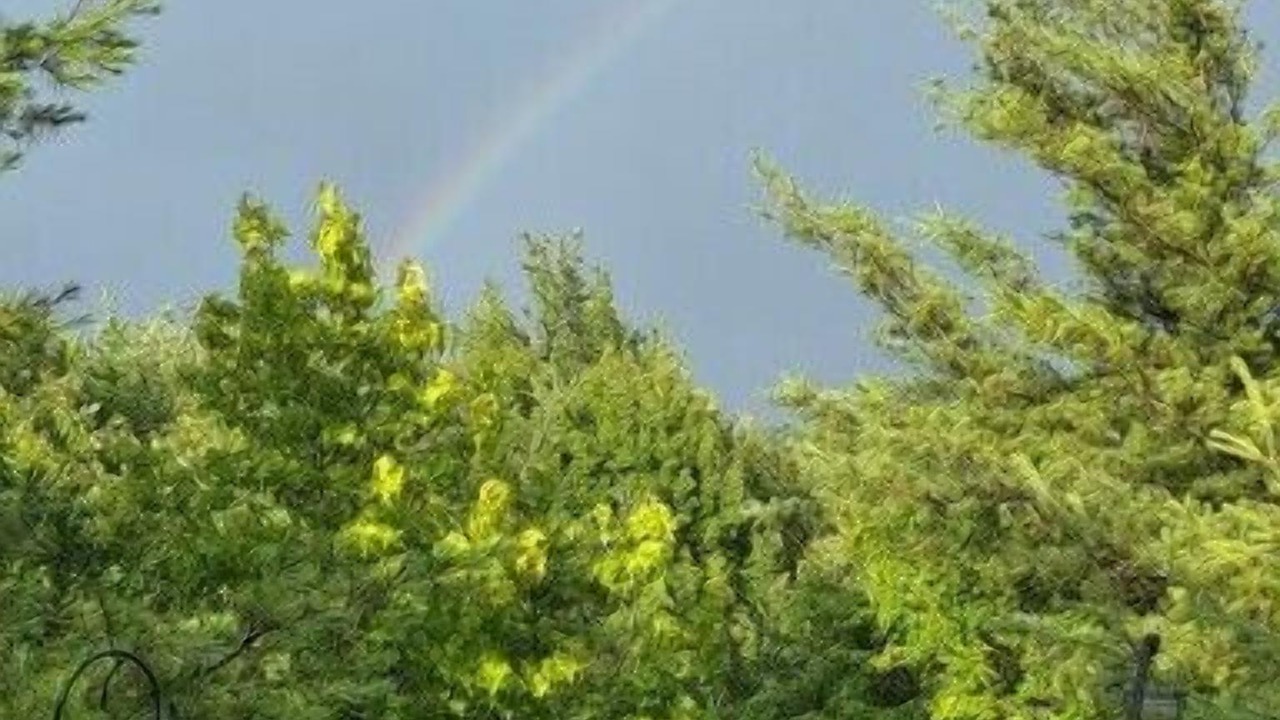 Photo of Outdoor in Charter Hills