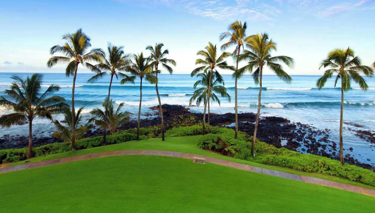 Photo of Others in Poipu
