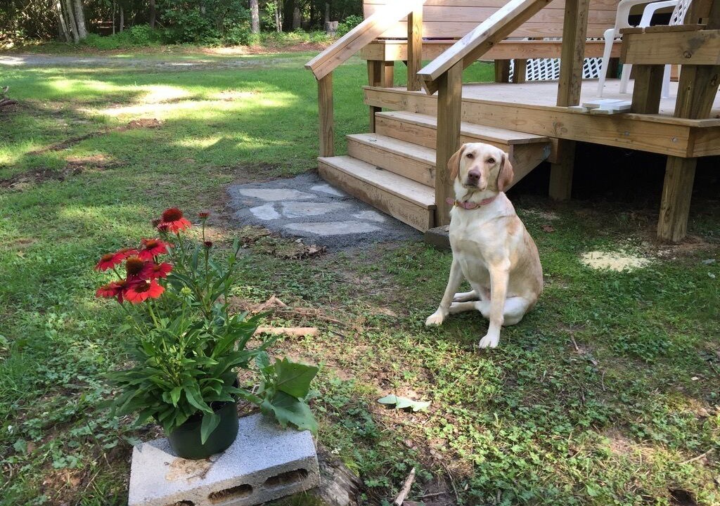 Photo of Outdoor in Cedar Mountain