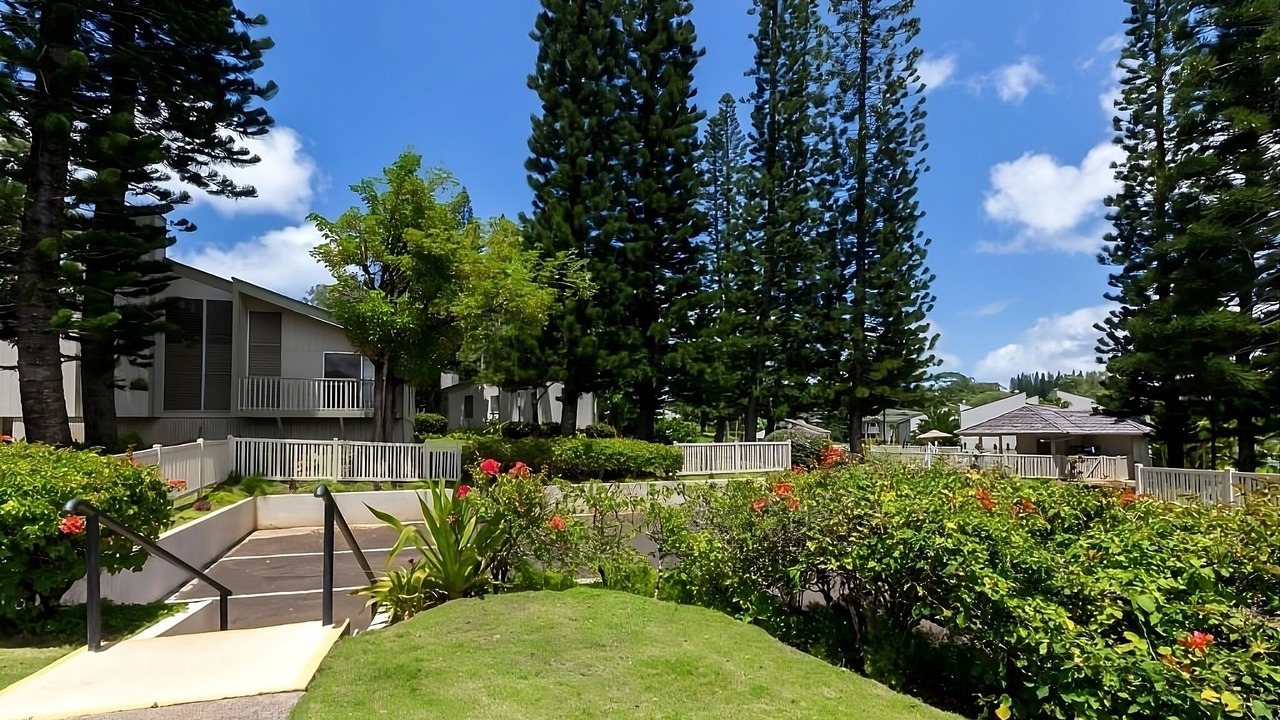 Photo of Others in Princeville