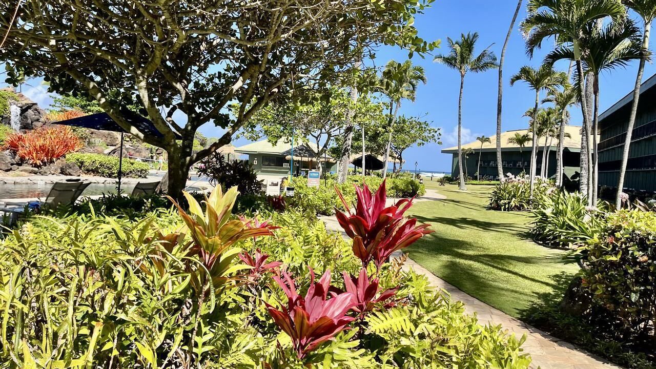 Photo of Outdoor in Hanamaulu