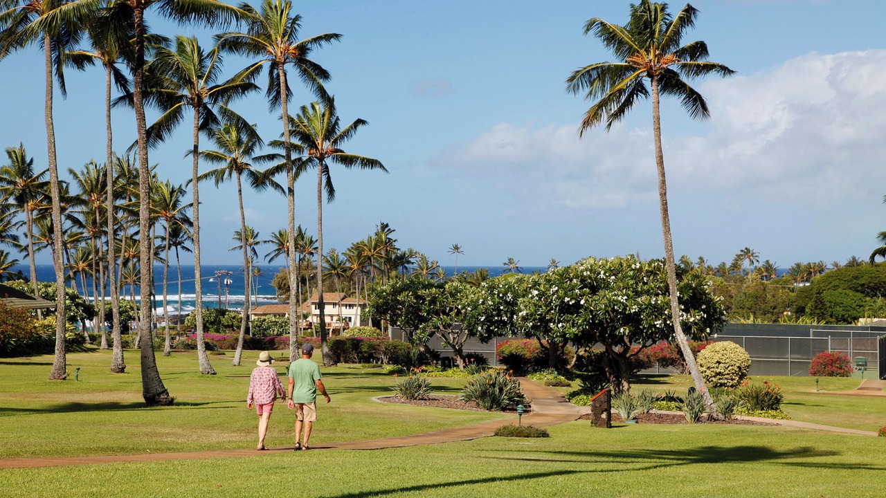 Photo of Others in Poipu