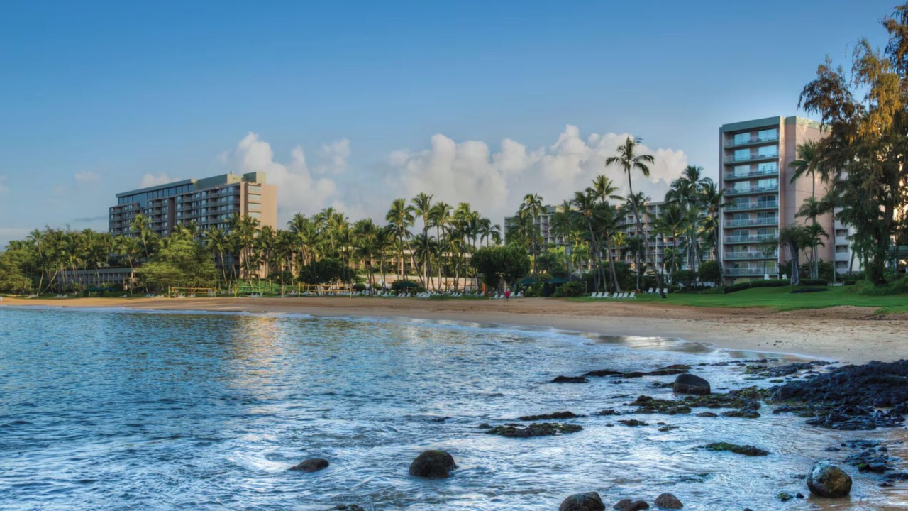 Photo of Outdoor in Lihue