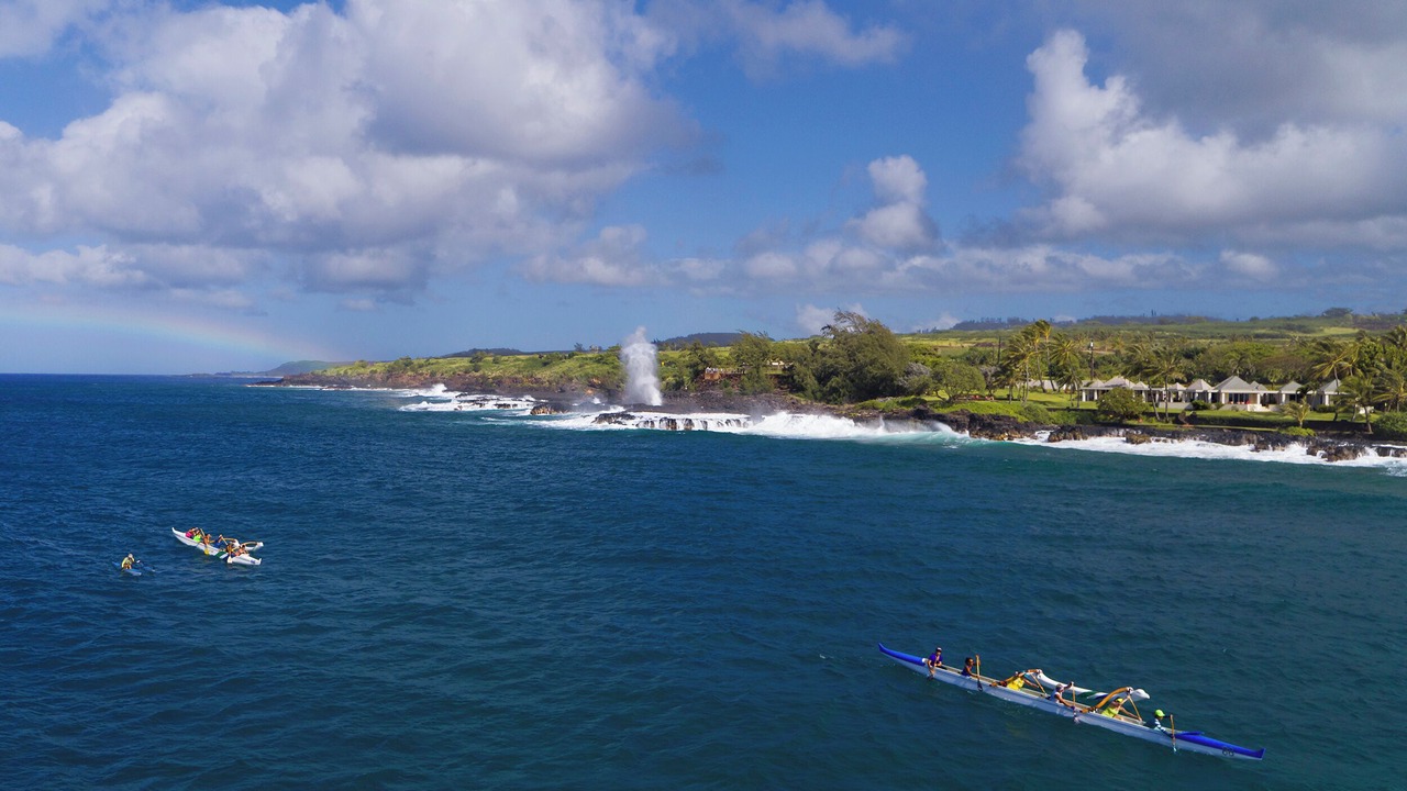 Photo of Others in Poipu