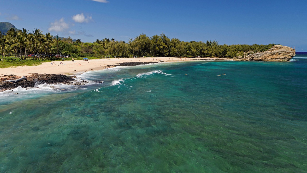 Photo of Others in Poipu