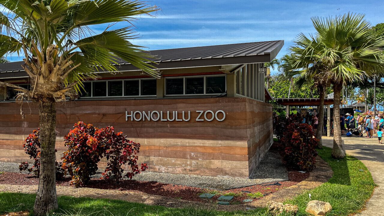 Photo of Others in Waikiki