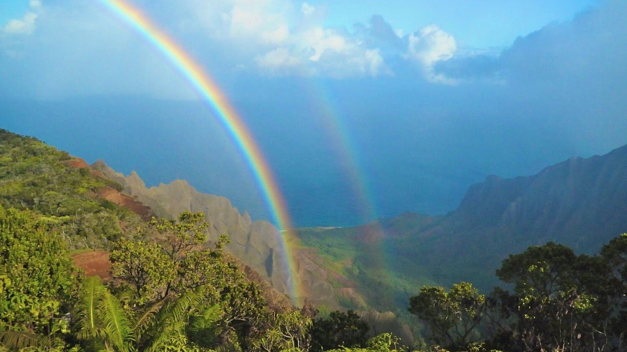 Photo of Others in Kapaa