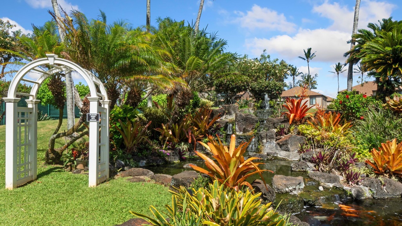 Photo of Others in Kapaa