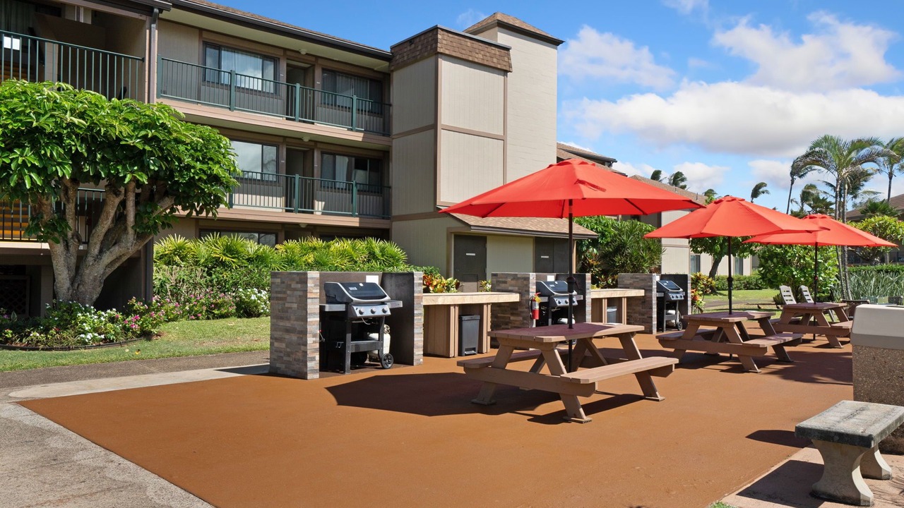 Photo of Others in Kapaa