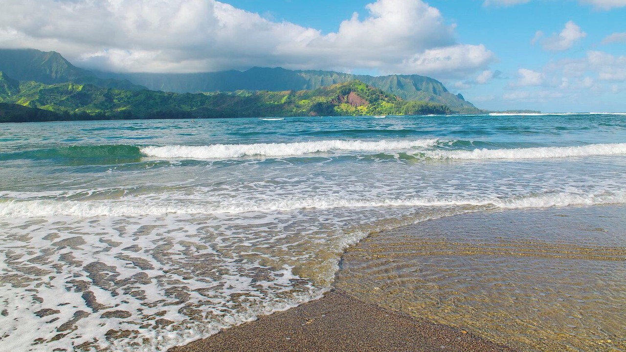 Photo of Others in Kapaa