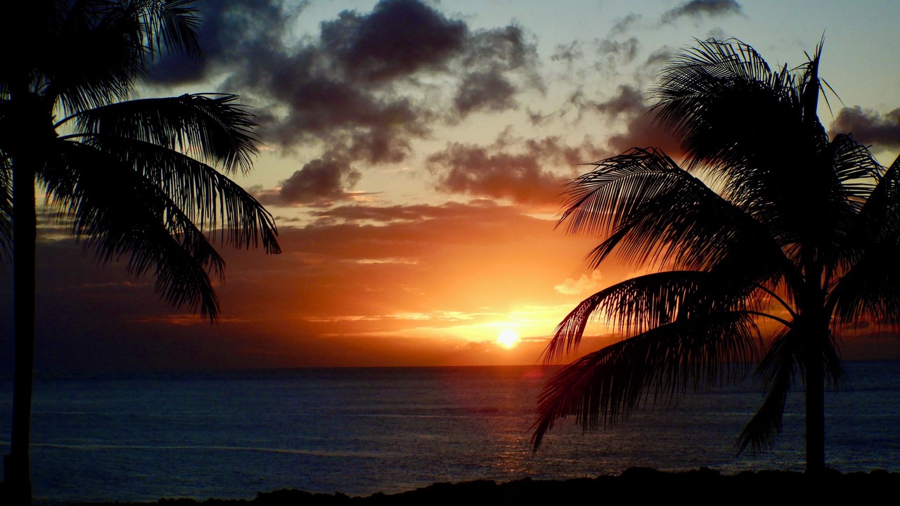Photo of Others in Laie
