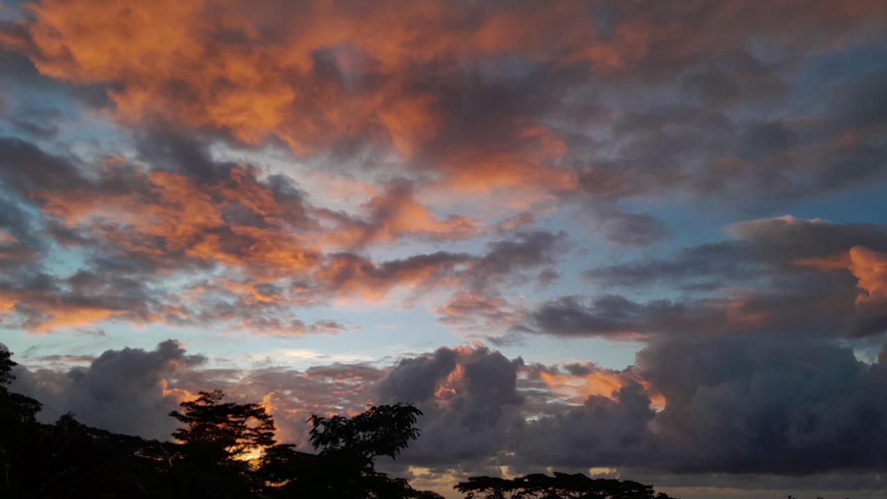 Photo of Others in Pahoa
