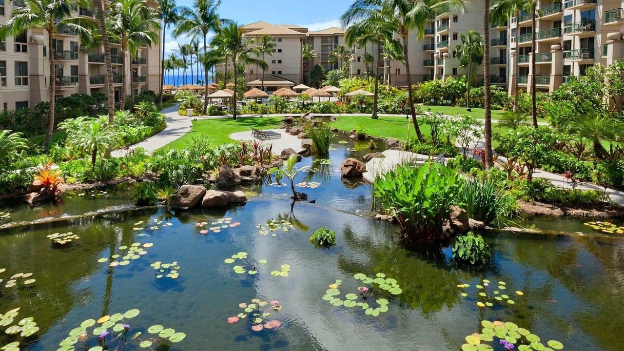 Photo of Outdoor in Kaanapali