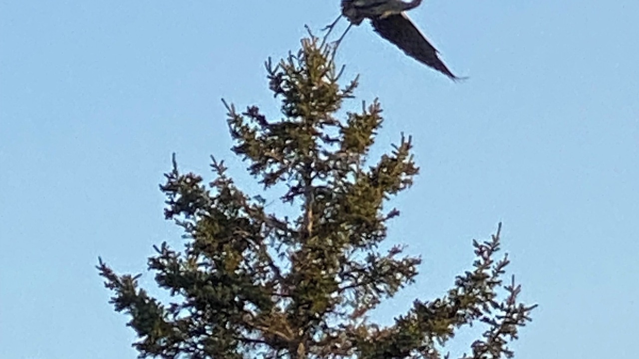 Photo of Outdoor in Sullivan