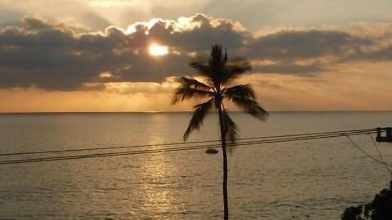 Photo of Others in Kahaluu Bay