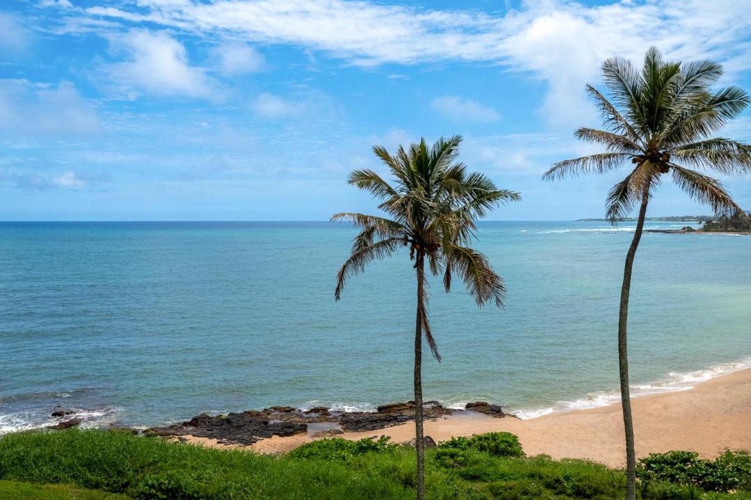 Photo of Others in Wailua