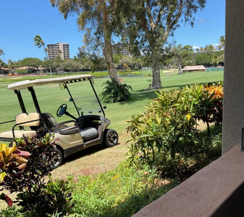 Photo of Others in Kaanapali