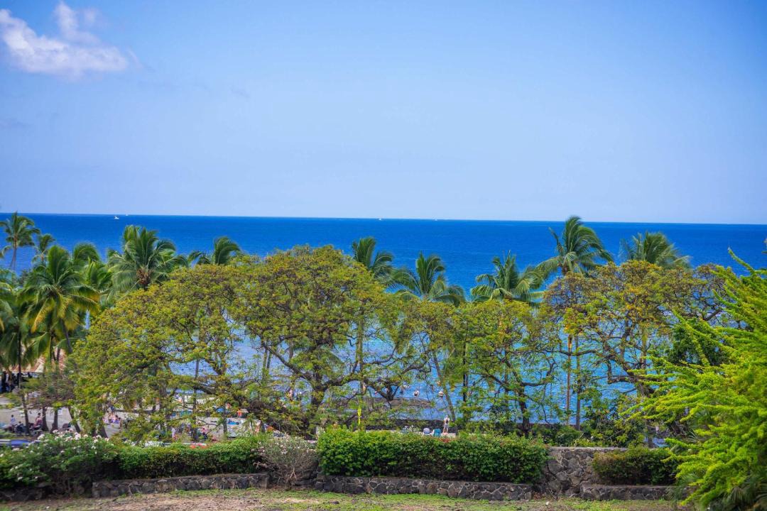 Photo of Others in Kahaluu Bay