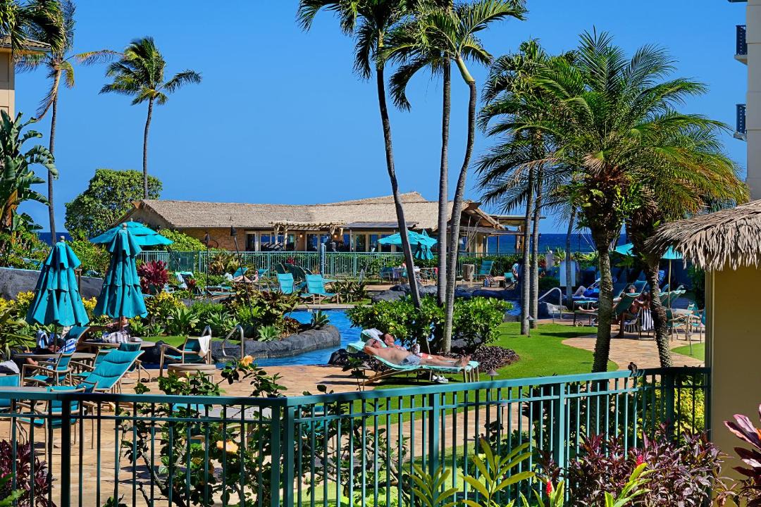Photo of Others in Wailua